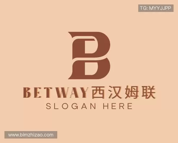 解读betway西汉姆联