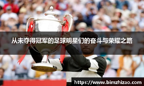 从未夺得冠军的足球明星们的奋斗与荣耀之路